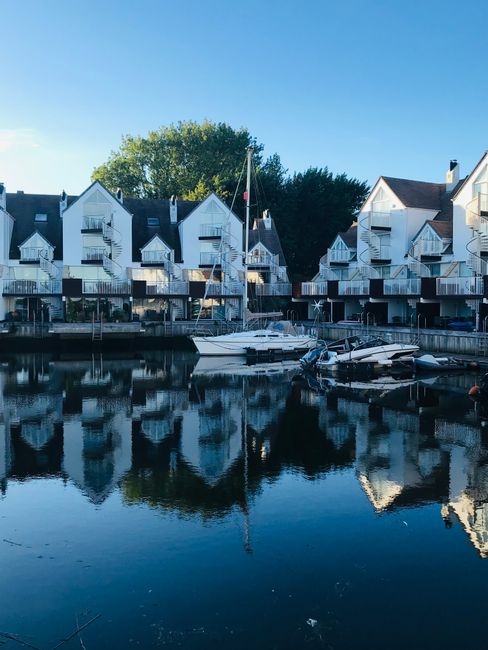A view of a marina with several yachts and sailboats docked alongside wooden piers, set against a backdrop of modern apartment buildings with large glass windows and balconies. Behind the buildings, a